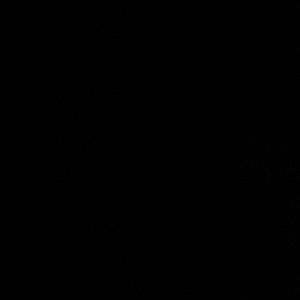 Meet your Posher, Ehsan